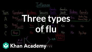 Three types of flu  Infectious diseases  Health amp Medicine  Khan Academy [upl. by Llednohs]