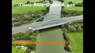 Toxic BlueGreen Algae On River Bann amp Toomebridge August 6th 2024 [upl. by Edmondo332]