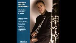 12 Andante sostenuto  Concertino in B flat major for Clarinet  Gaetano Donizetti  Meloni [upl. by Grosberg761]