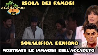 Isola Dei Famosi Vladimir Luxuria mostra le immagini per la Squalifica di Francesco Benigno [upl. by Bazluke]