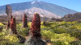 EL TEIDE HDavi [upl. by Vivien]