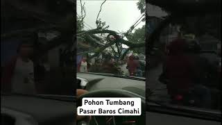 Pohon Tumbang Pasar Baros Cimahi [upl. by Huesman]