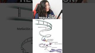 Regulación de la expresión genética eucariota ubaxxi uba cbc ciencia biologia biolyl [upl. by Aneerbas]