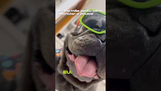 Já anunciei até na OLX 🤣 o final é a melhor parte dog oculos anuncio vendas floripa memes [upl. by Conover931]