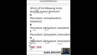 diphyodont heterodont and thecodont characteristics of human dentition [upl. by Mckee]