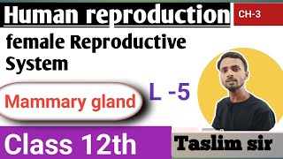 class 12th Biology chapter 3  mammary gland  human reproduction [upl. by Eniledam962]