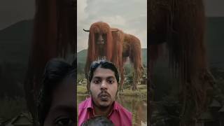 Kit na bhayanak jaanwar hishots viralvideo trandaing shortsvideo bhayanak video [upl. by Reklaw]