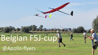 F5J cup belgium  apolloflyers dottenijs [upl. by Hayyim546]