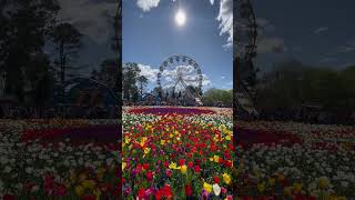 Floriade in Canberra ACT Australia canberra australia [upl. by Luht]