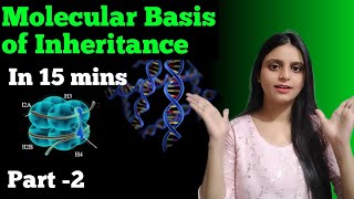 Molecular Basis of Inheritance in 15 mins Part  2 [upl. by Lladnek]