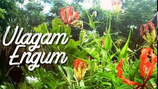 Tamil Eelam Song  Ulagam Engum [upl. by Briano]