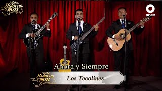 Ahora y Siempre  Los Tecolines  Noche Boleros y Son [upl. by Atiuqa]