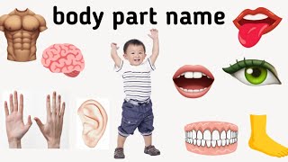 body part name in English [upl. by Auhso]