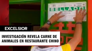 Hallan carne de perro gato y rata descompuesta en Restaurante Nueva China [upl. by Eadrahs]