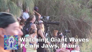 Watching Giant Waves at Peahi Jaws Maui [upl. by Vinni]