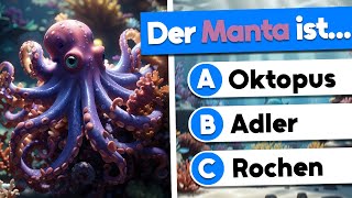 25 spannende Fragen die dein Allgemeinwissen testen 🧠  Allgemeinwissen Quiz [upl. by Anail]