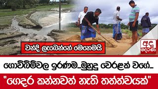 ගොවිබිම්වල ඉරණමමුහුදු වෙරළක් වගේ quotගෙදර කන්නවත් නැති තත්ත්වයක්quot [upl. by Deraj]