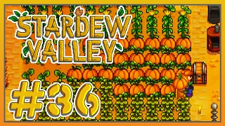 Stardew Valley  36  Punkins [upl. by Yob]