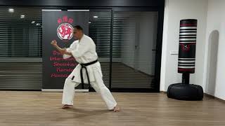 The Official Tiska Karate 5 Heian Yondan Detailed Tips [upl. by Enyad]