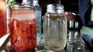 FERMENTING CARROTS its SO EASY [upl. by Zoellick]