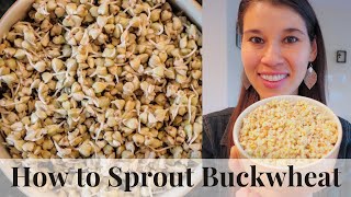 How to Sprout Buckwheat  Simple amp Easy [upl. by Selec288]