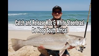 ZLF Fishing De Hoop Part 2  Catching Kob and White Steenbras [upl. by Harewood338]