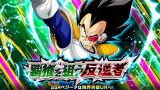 GLOBAL SYNC IS HERE DOKKANFEST AGL NAMEK VEGETA DOKKAN BOSS BATTLE DBZ Dokkan Battle [upl. by Combe]