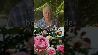 Comment faire des boutures de rosiers  bouture conseil astuce jardinage rosier nature tuto [upl. by Artie]