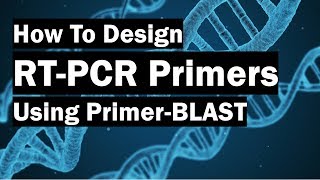 How To Create RealTime PCR Primers Using PrimerBLAST [upl. by Sibelle]