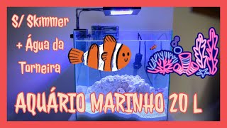 Aquário Marinho NANO 20 Litros com Hang On e SEM Skimmer usando Água da Torneira [upl. by Longfellow]