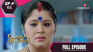 Naagin  Season 1  नागिन  Episode 1 [upl. by Kristal155]