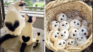 Cute Baby Animals Videos Compilation  Funny and Cute Moment of the Animals 31  Cutest Animals [upl. by Styles899]