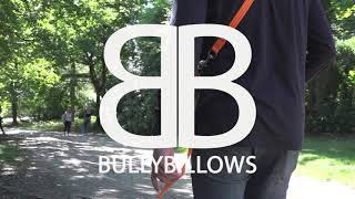 BullyBillows  Double Ended Lead [upl. by Neesay]