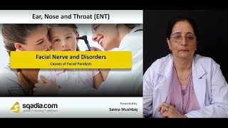 Facial Nerve and Disorders  ENT Video Lecture  Medical VLearning Platform [upl. by Niles230]