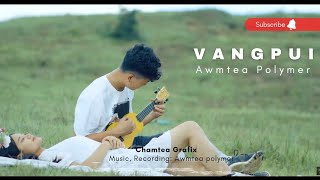 AWMTEA POLYMER  VANGPUI FAVANG OFFICIAL MUSIC VIDEO [upl. by Liatnahs78]