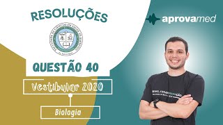 FACISB 2020  Biologia  Questão 40 [upl. by Lishe]