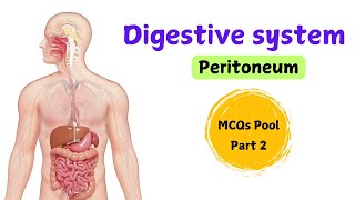 Digestive system  Peritoneum  MCQs Pool  Part 2 [upl. by Assirok]