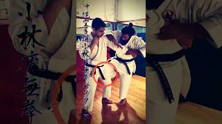 沖縄空手道 小林流無拳会 • Matsumura no Passai Okinawa KarateDo Shorinryu Mukenkai Italy [upl. by Welker]