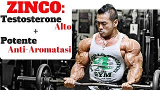 ZINCO Integratore importantissimo per gli SPORTIVI  TESTOSTERONE amp ESTROGENI [upl. by Hallee]