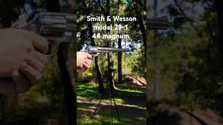 smith amp wesson model 291 44 magnum [upl. by Atauqal]