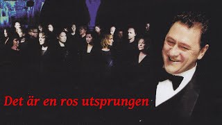 Det Är En Ros Utsprungen  Tommy Körberg  Oslo Gospel Choir [upl. by Yemane544]