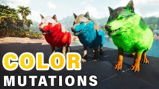 How to Breed Color Mutations ► Ark Survival Ascended [upl. by Alleinnad632]