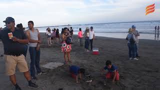 Recolectan más de mil toneladas de basura en playas sinaloenses [upl. by Ainessej886]