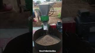 Efficient Wood Pellet Machine in Action  HighQuality Biomass Pellet Production！ [upl. by Mirna293]