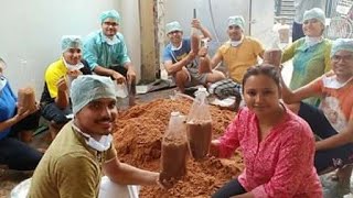 Ganoderma Mushroom cultivation by Divya Rawat [upl. by Al]