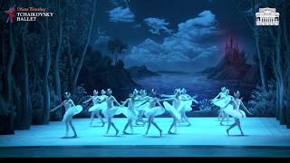 Tchaikovsky Ballet SintPetersburg  Het Zwanenmeer [upl. by Sheffy262]