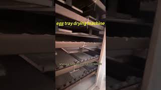 How to dry egg trays or egg cartons efficiently Egg tray dryer in paper tray molding plant dryer [upl. by Files826]