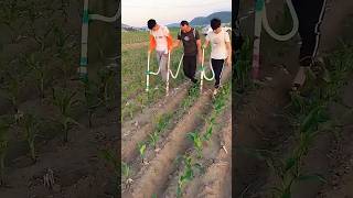 Backpack Fertilizer Applicator Sannong Agricultural Tools Spread the invention of agricultural too [upl. by Alioz]