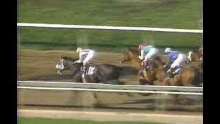 1993 Breeders Cup Day [upl. by Eirrol]