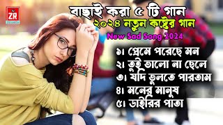 ২০২৪ সালের বাছাই করা ৫ টি গান Luna Moni bachai kora koster gan Bangla new Sad song Tiktok Viral [upl. by Savick343]